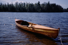 Lutra Voyager