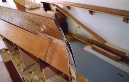 Lutra Wings