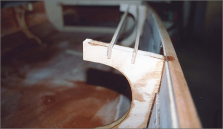 Lutra Wings