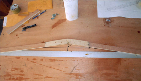 Lutra Wings