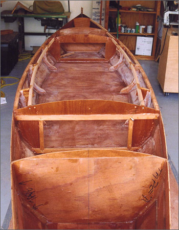 Lutra Wings